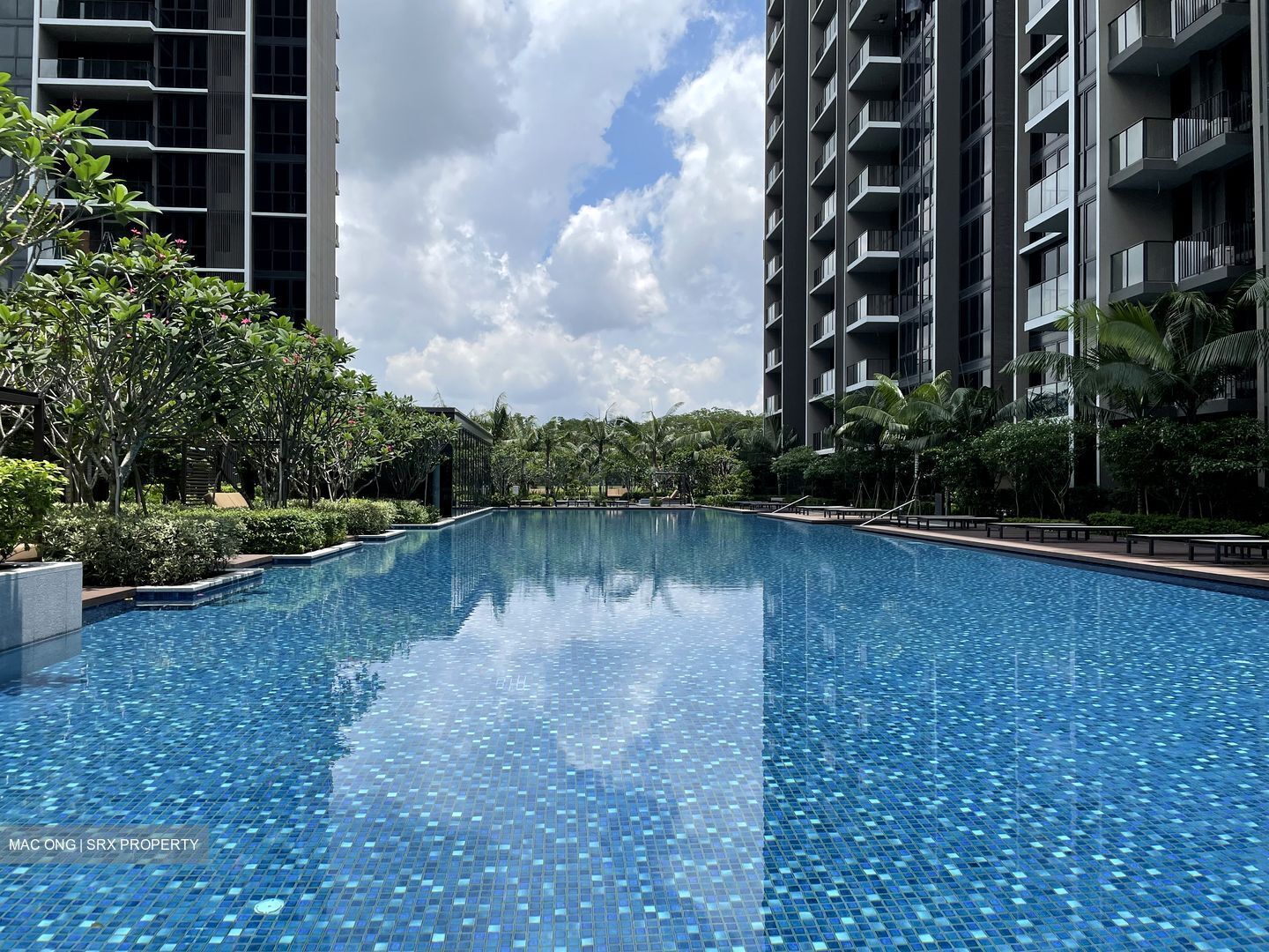 The Tapestry (D18), Condominium #584511461